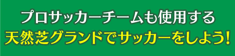 プロサッカーチームも使用する天然芝グランドでサッカーをしよう！